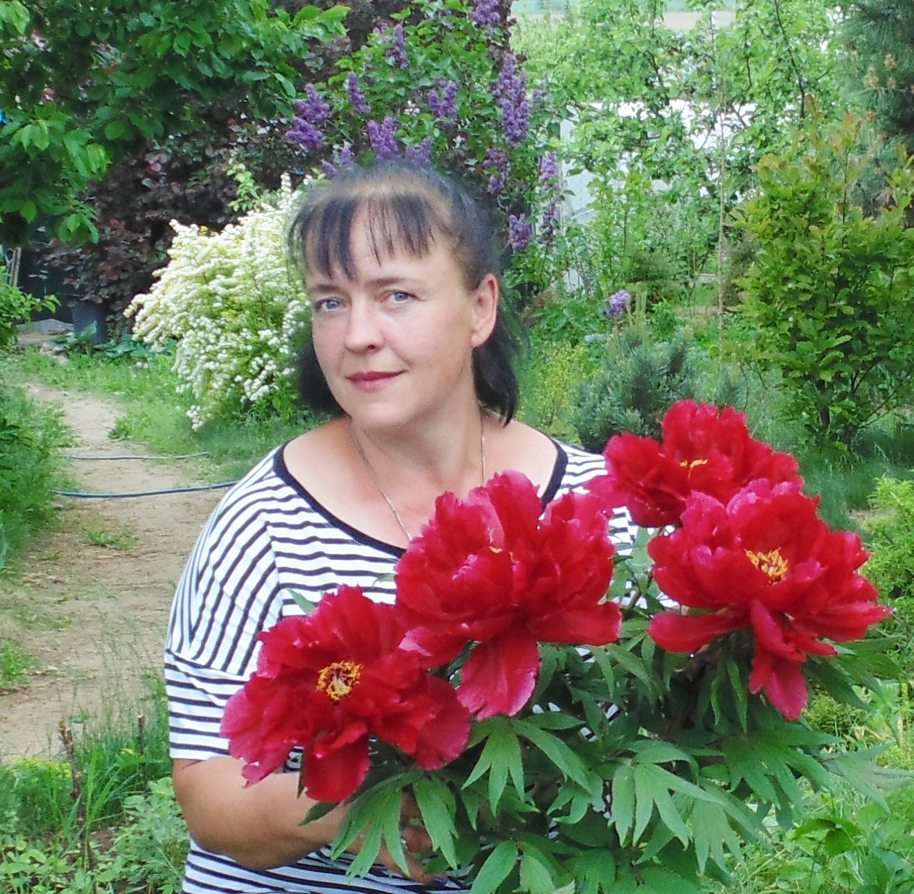 Светлана сотникова ландшафтный дизайнер обучение